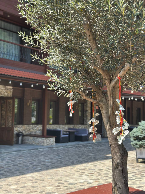 Hotel photo 44