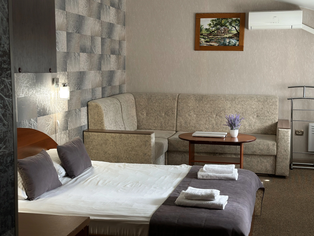 Comfort Plus Double room (full double bed)