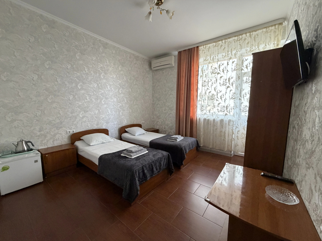 Standard Double room (twin beds)