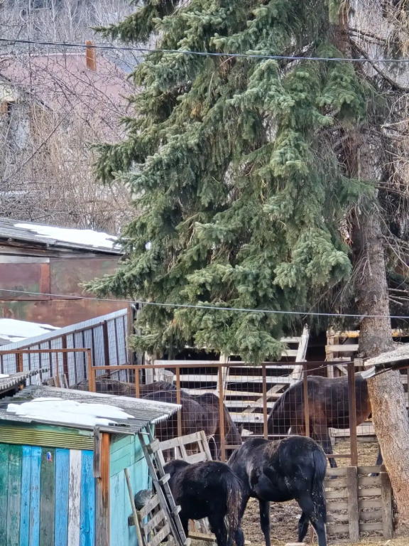 Квартира с видом на горы на улице Энгельса 15 - фото 16