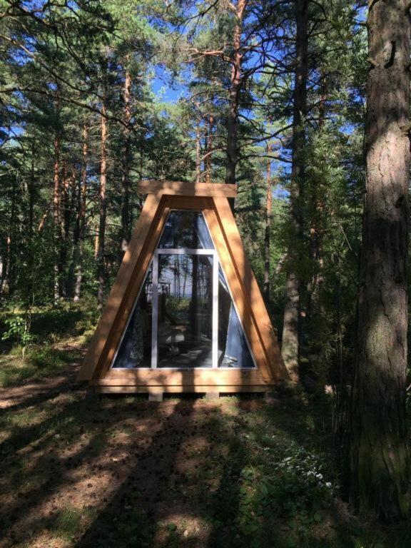 Wind Hunters Surf Station Сосновый