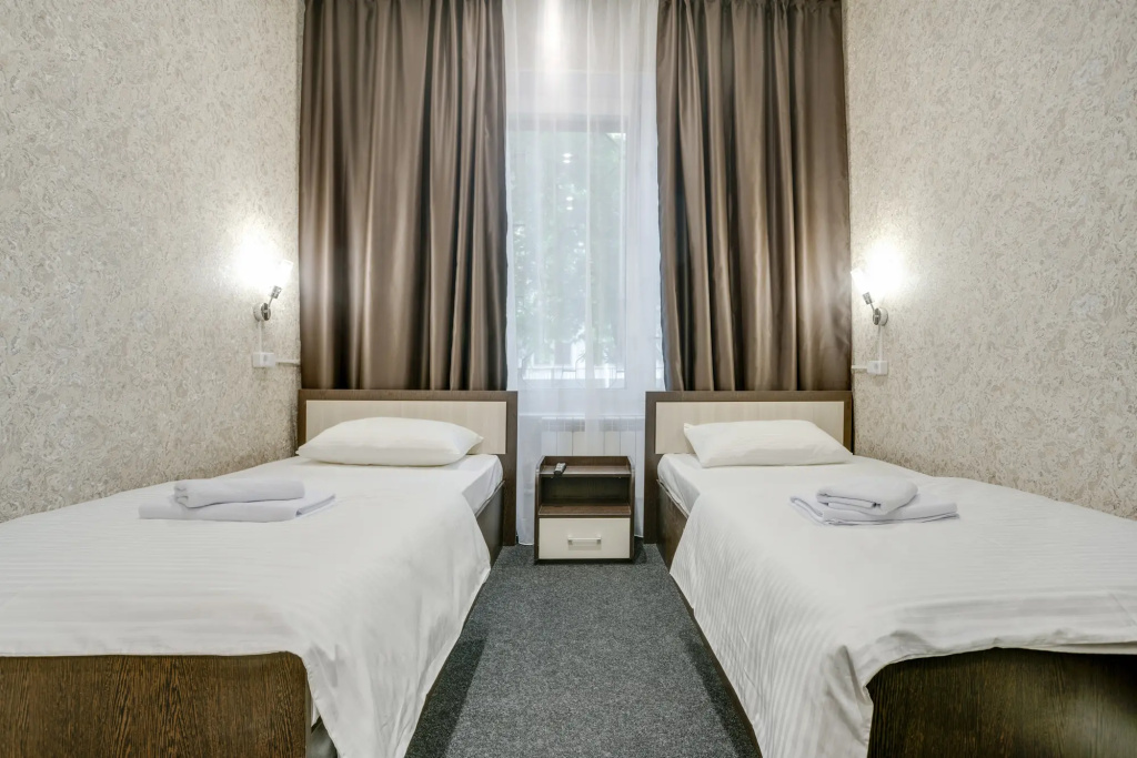 Ladomir Na Zelevom hotel Room Type - Economy Double room twin beds