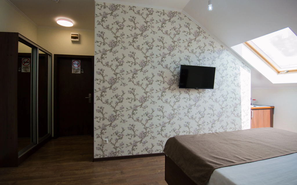 Standard Family Attic room with lake view