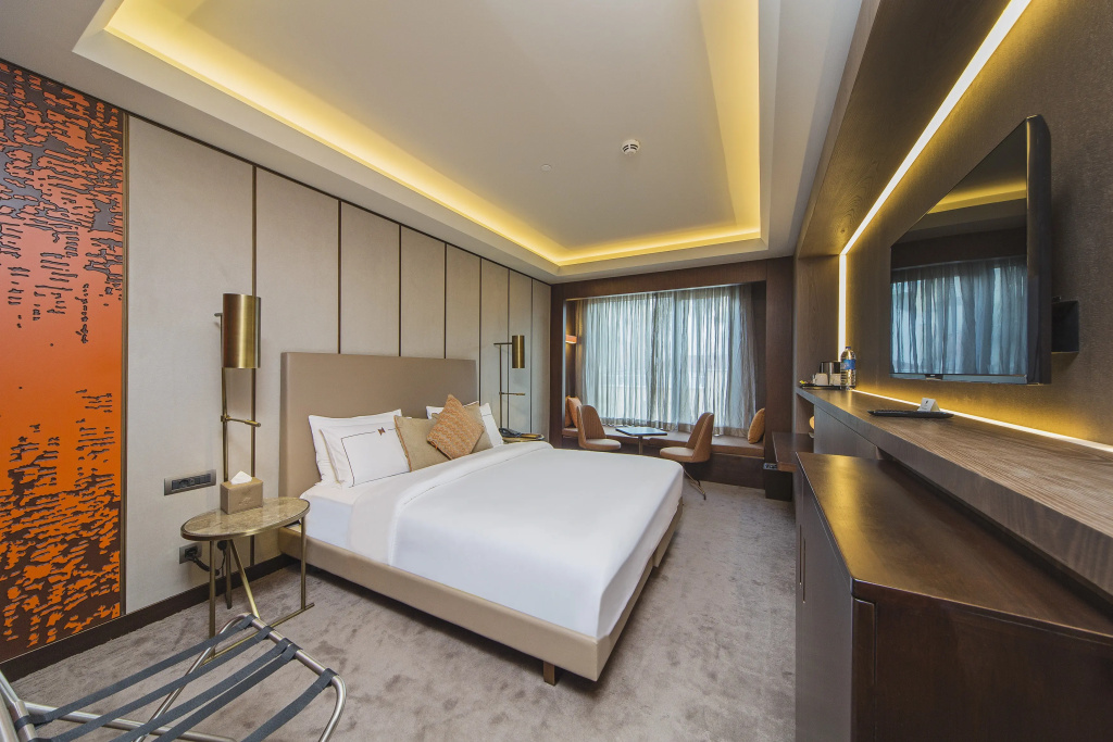 Standard Double room (full double bed)