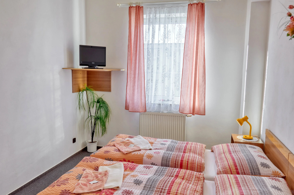 Standard Double room (full double bed)