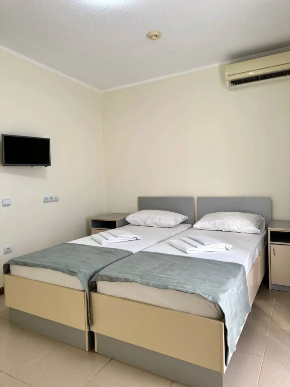 Standard Double room with balcony (twin beds)