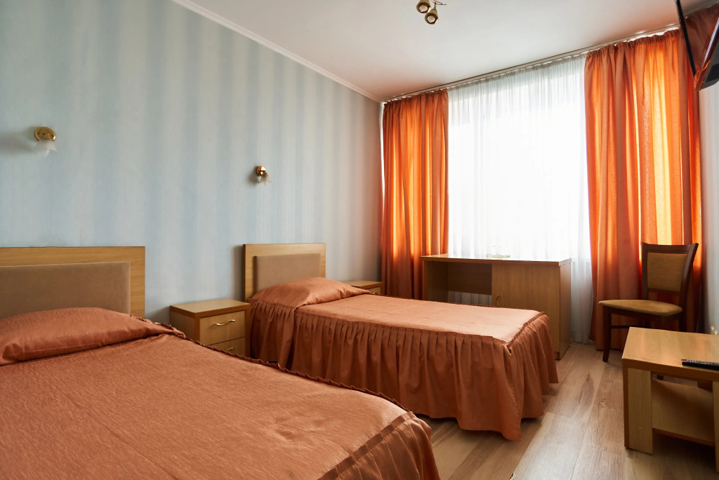 Standard Double room (twin beds)