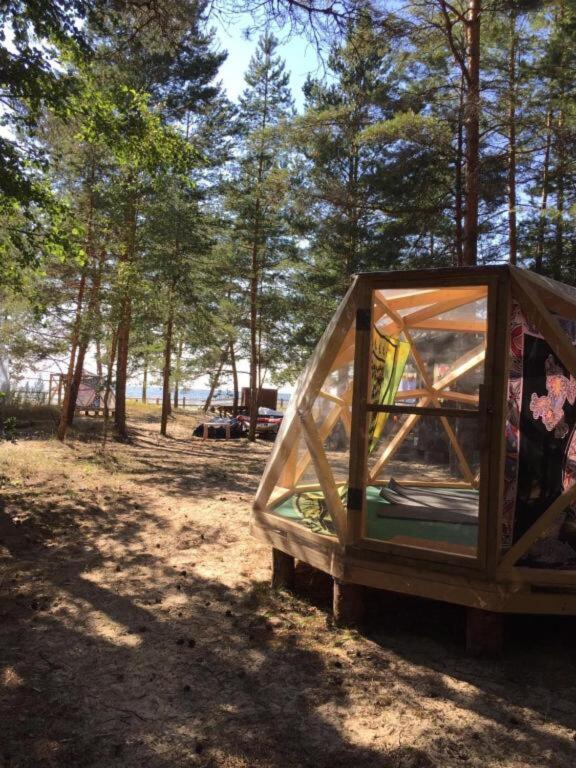 Wind Hunters Surf Station Сосновый
