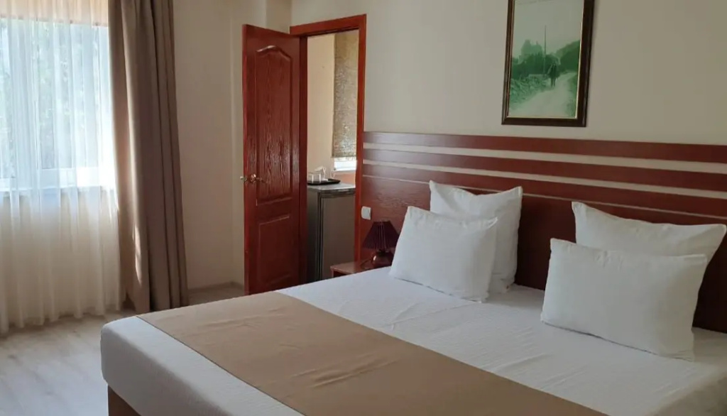 Standard Double room with city view (twin beds)
