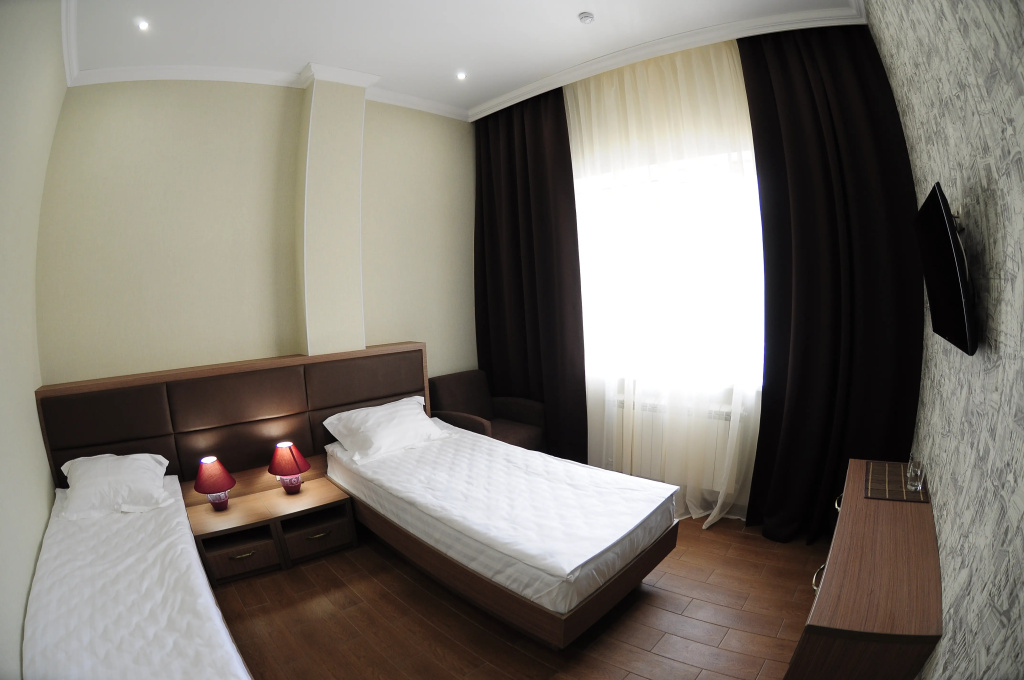 Fandorin Mini-Hotel Room Type - Standard Double room twin beds