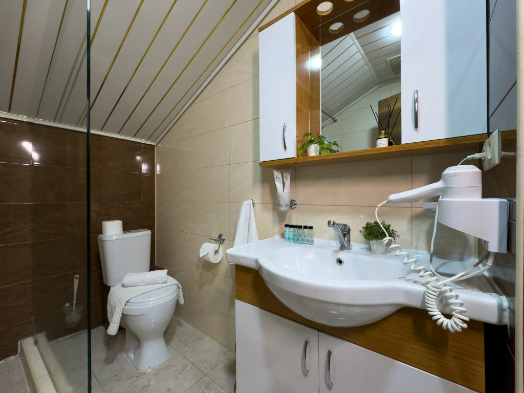 Трёхместный номер Супериор Плюс c 1 комнатой с балконом и с красивым видом из окна в Aimara