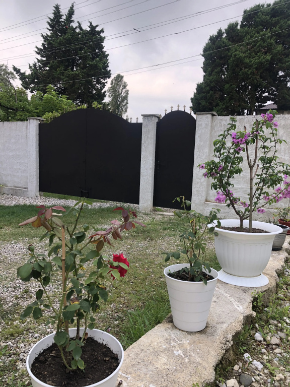 Guest house Gudauta