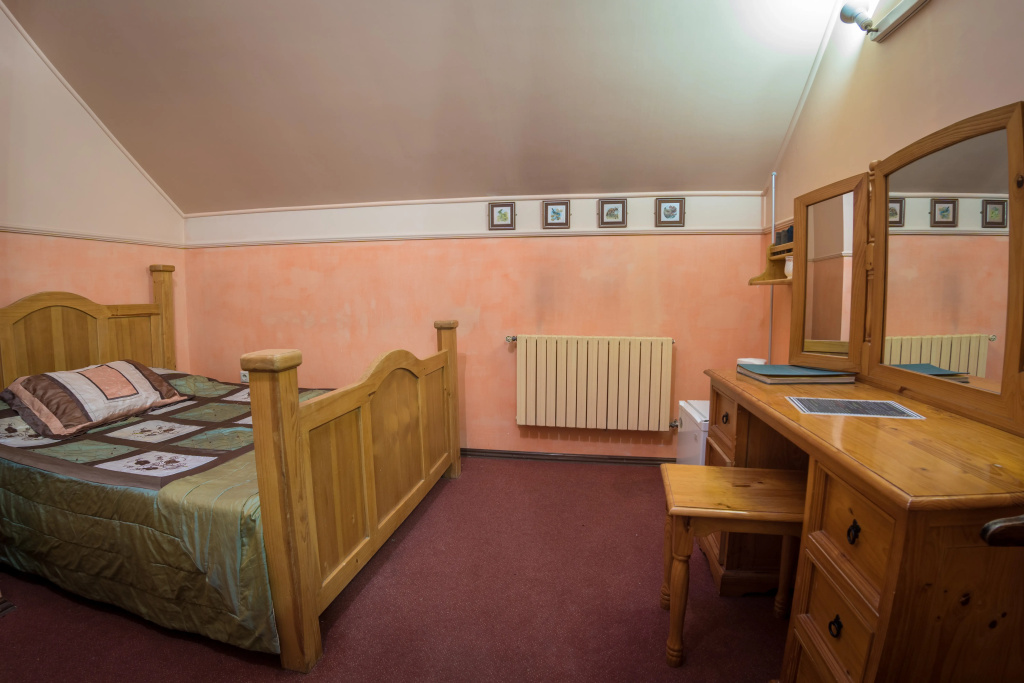 Standard Double room (full double bed)