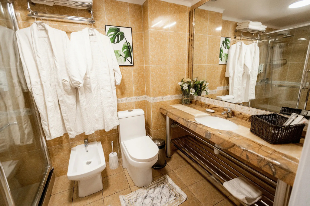Metelitsa Hotel - Chambres
