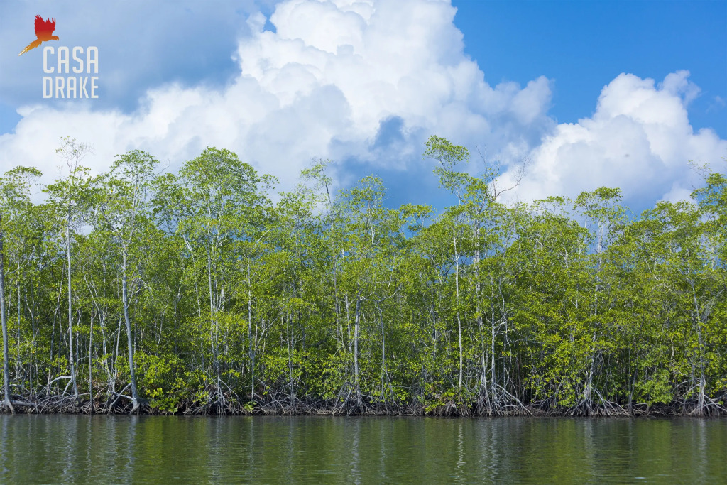 Отель Casa Drake Lodge - фото 14