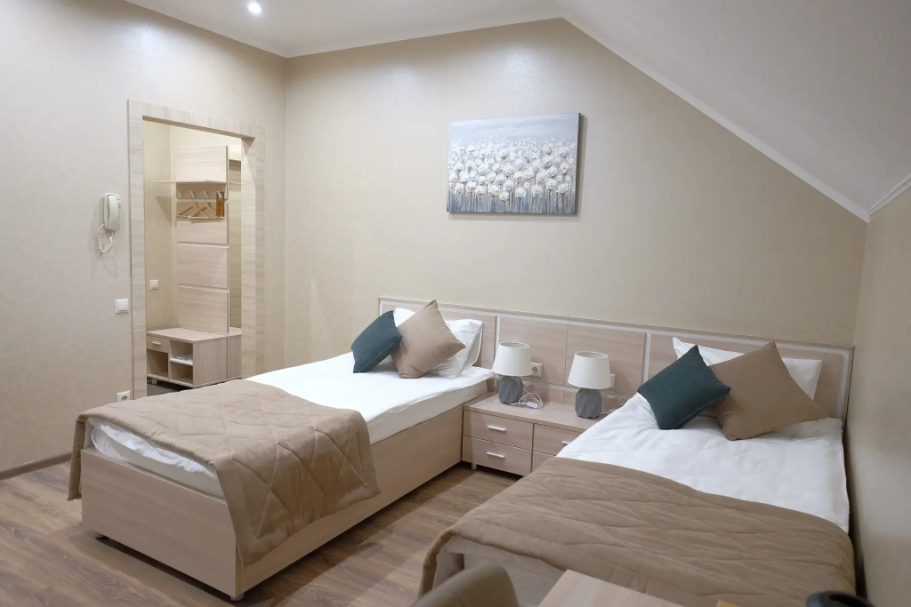 Comfort Double room (full double bed)