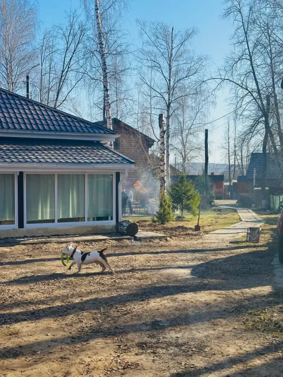 База отдыха Чайка — фото