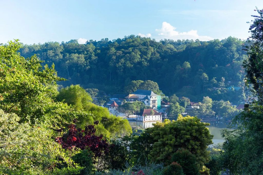 Castle Hill Bungalow Boutique Hotel
