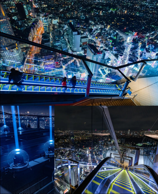 Cyber Tokyo Sinjyuku Apartments 사진 36