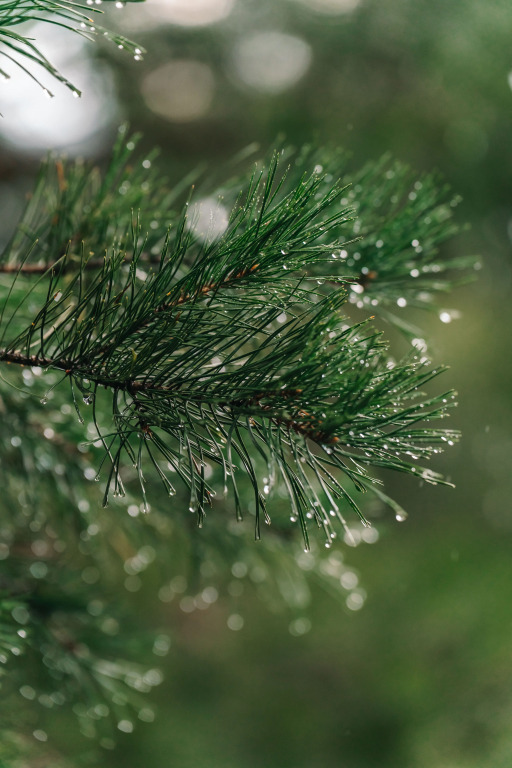 Отель Туристский оздоровительный комплекс Таежник - фото 14