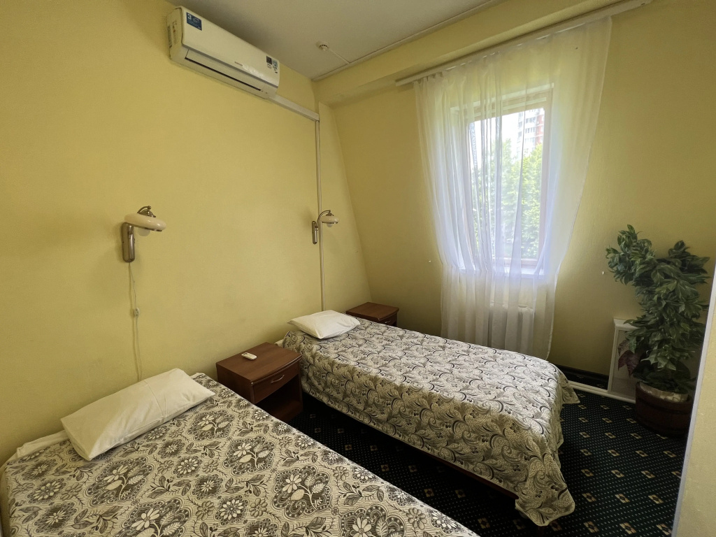 Standard Double room (twin beds)