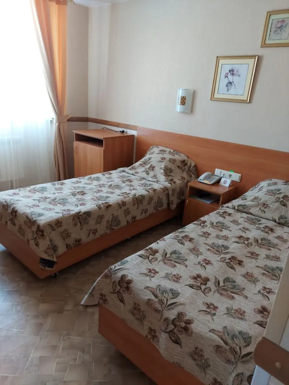 Standard Double room (twin beds)