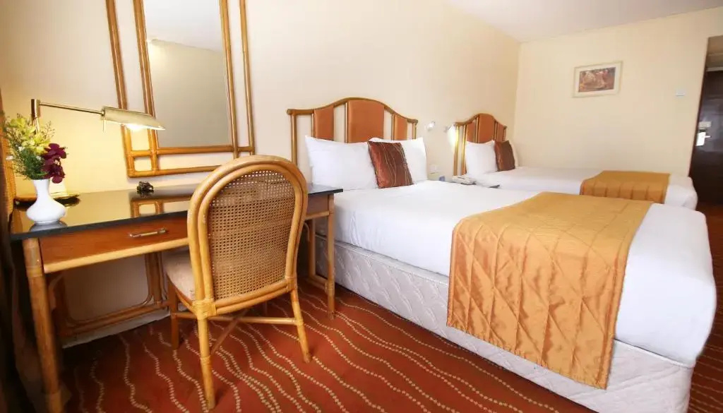 Standard Triple room with view