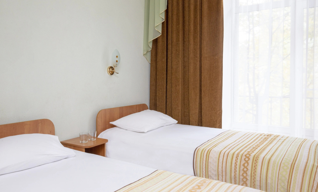 Annushka Hotel Room Type - Standard Double room with city view twin beds