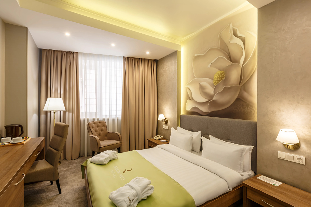 Standard Double room (full double bed)