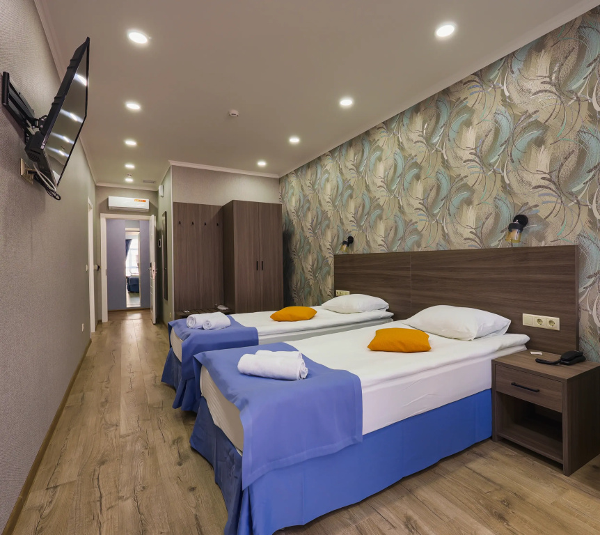 Standard Double room with city view (twin beds)