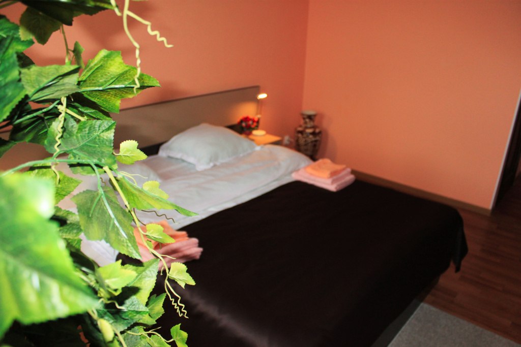 Superior Double room (full double bed)