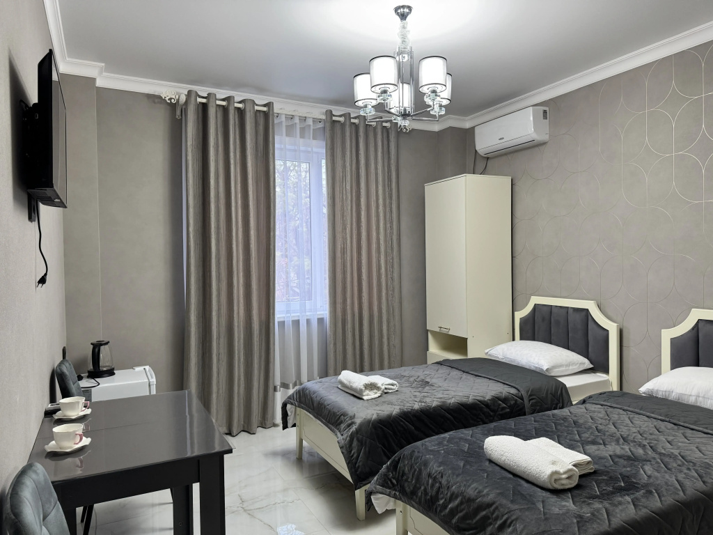Standard Double room (twin beds)