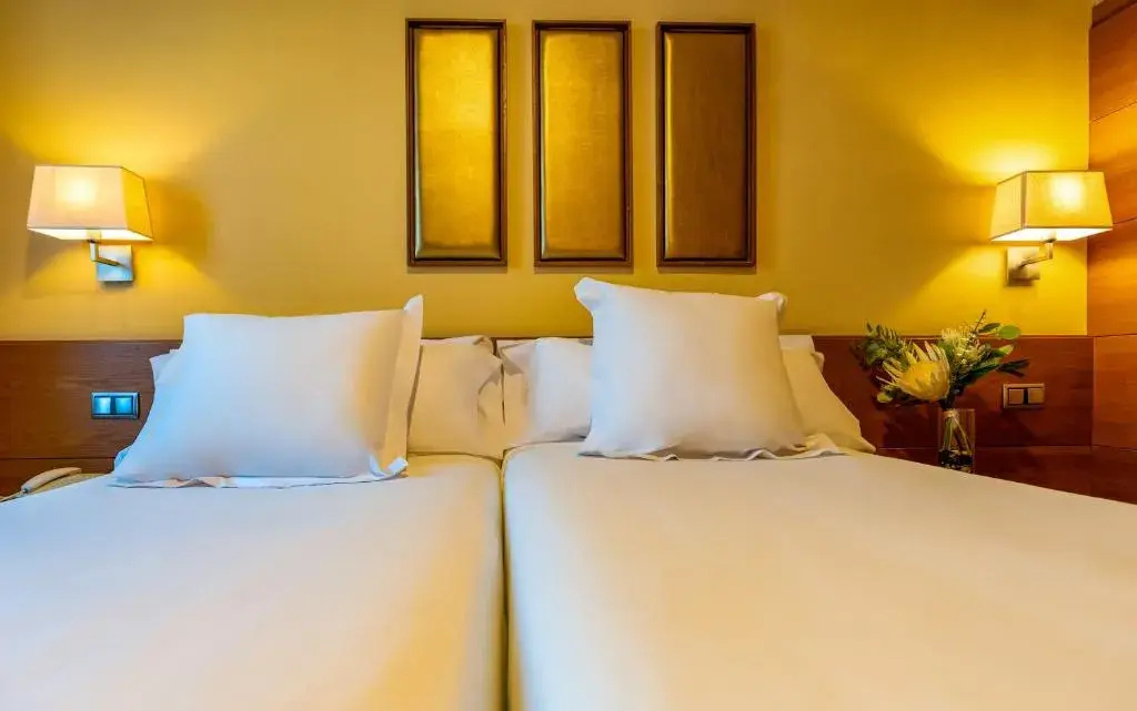 Economy Double room (twin beds)