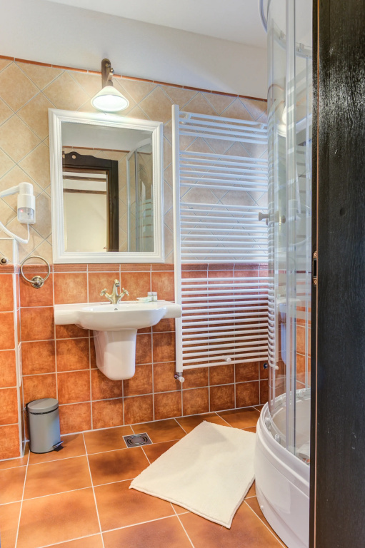 Conacul Ambient - Chambres