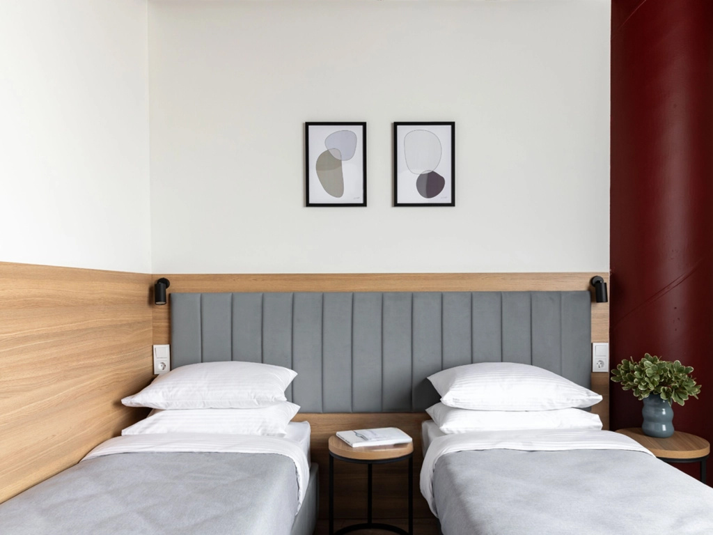 Superior Double room (twin beds)