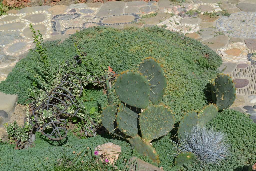 Hotel Loza - фото 9