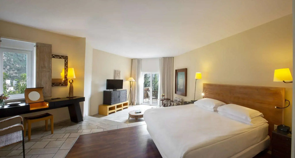 Deluxe Double room with balcony and with garden view (full double bed)