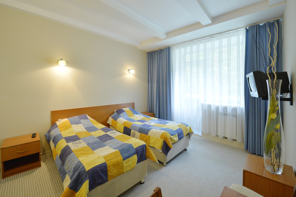Standard with Terrace Double room (twin beds)