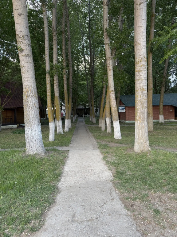 База Отдыха Лебедь - фото 15