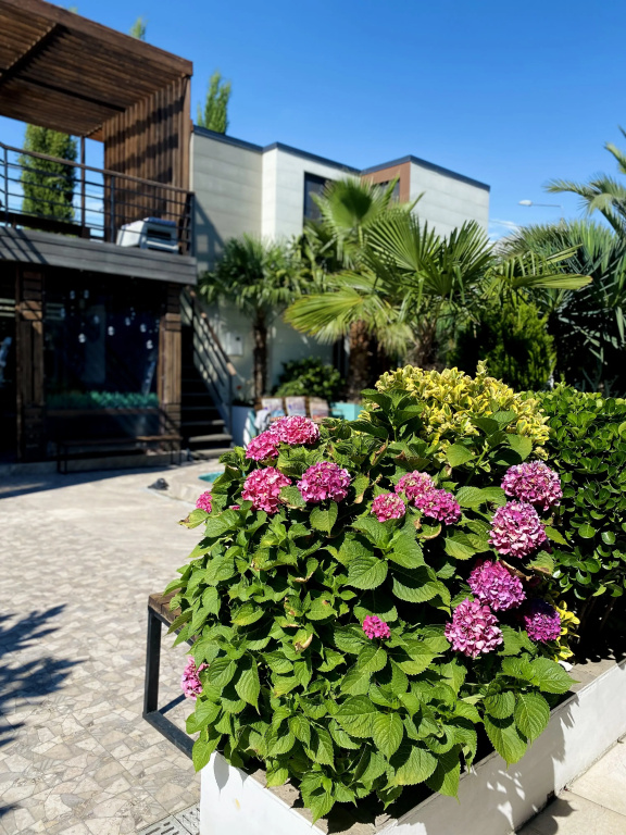Hotel photo 47