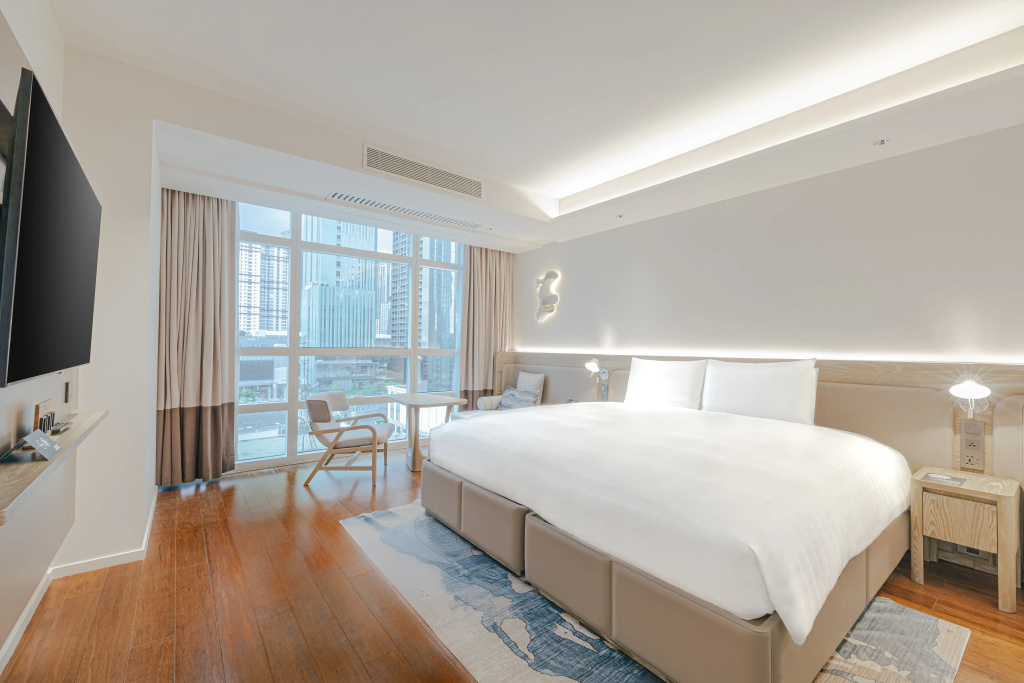 Premier Deluxe Double room with city view (twin beds)