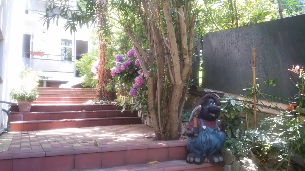 Hotel photo 9