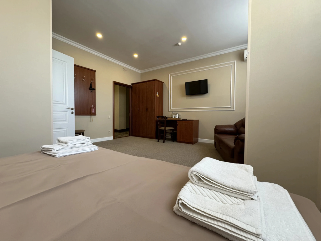 Ryazan' Hotel Room Type - 1 Room Double Junior Suite full double bed