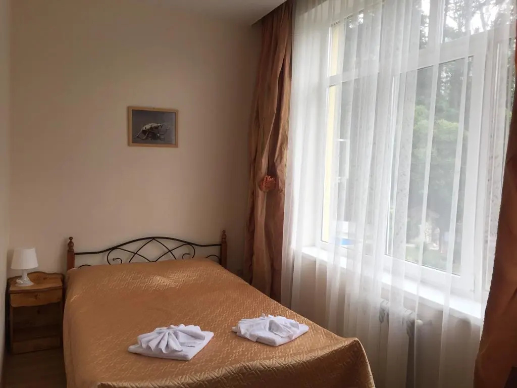 Standard Double room (full double bed)