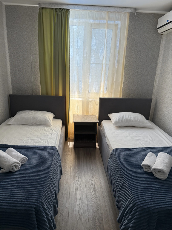 Двухместный номер Economy 2 отдельные кровати в Панорама