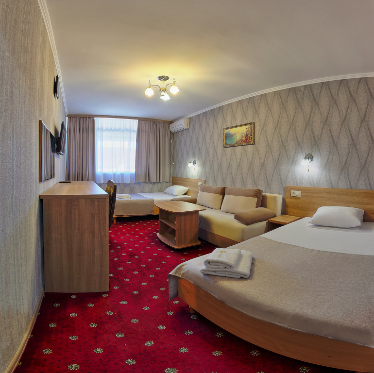 Standard Double room (twin beds)