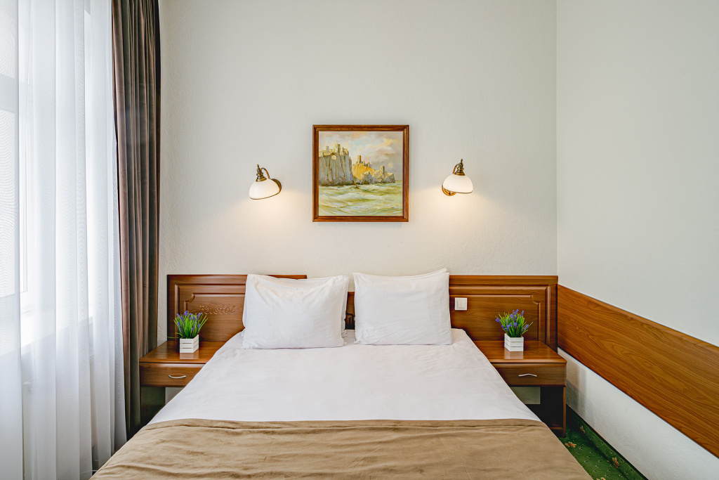 Standard Double room with balcony and with view (full double bed)