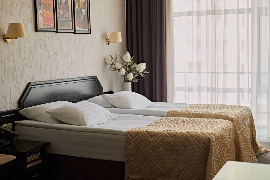 Graf Tolstoy Hotel Room Type - Business Double room with city view twin beds