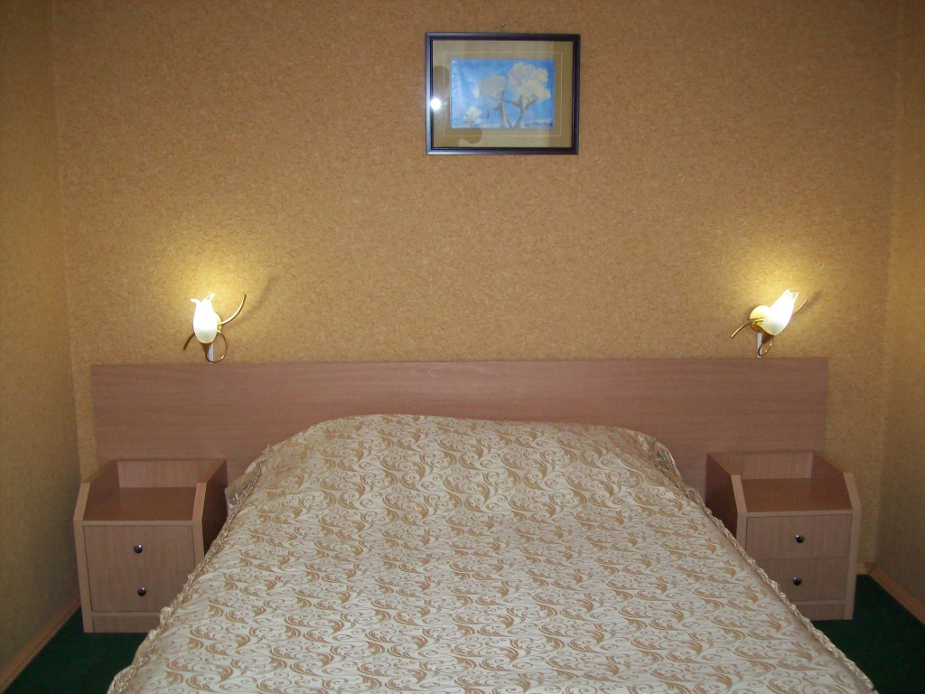 Standard Double room (full double bed)