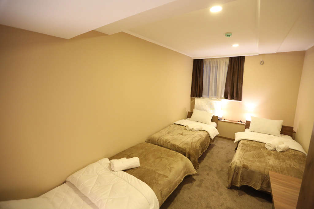 Standard Triple room with view